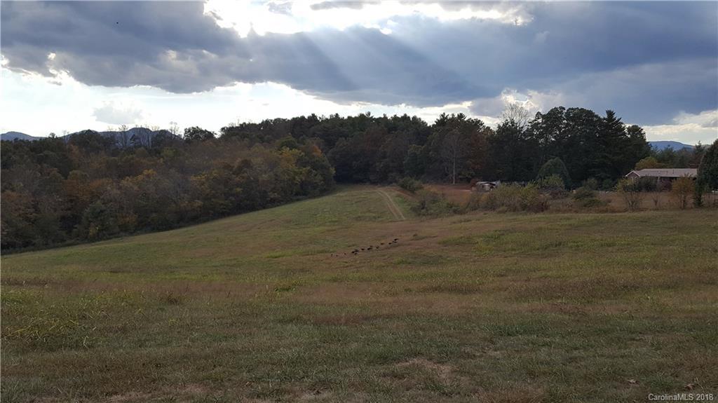 Tract 1 Bob Wright Hill Rd., Leicester, NC 28748