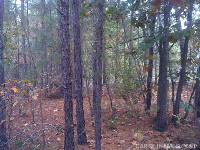 297 Oak Ridge Rd., Eagle Springs, NC 27242