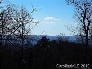 TBD Ivy Ln., Pisgah Forest, NC 28768
