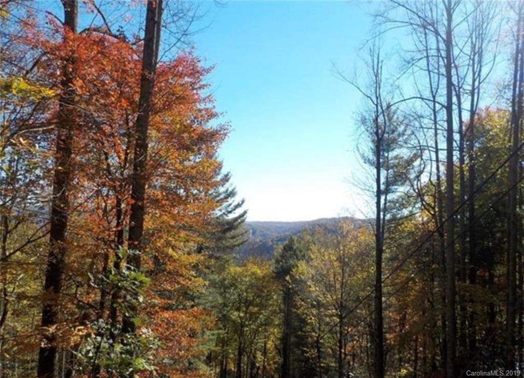 tbd Tweetsie Ln. #45 & 46, Banner Elk, NC 28604