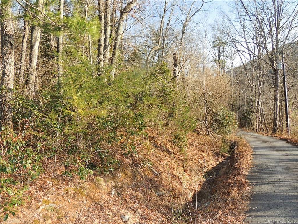 20 Rustling Pine Tr. #3, Black Mountain, NC 28711