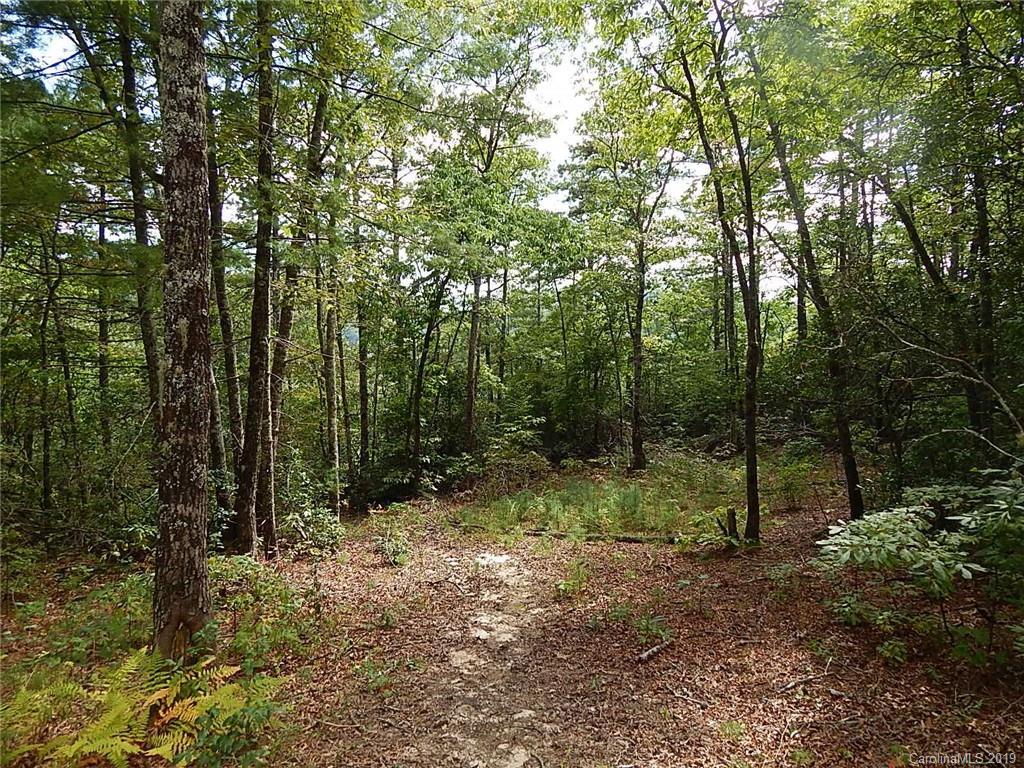 263 E Lester Ln., Hendersonville, NC 28739