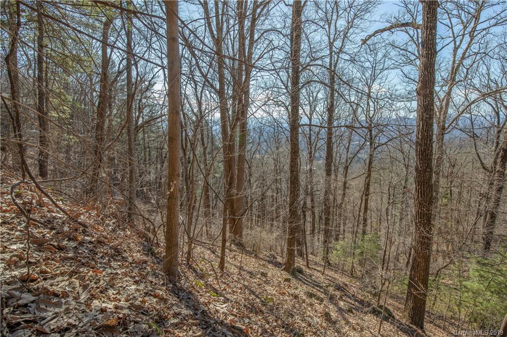 99999 Patton Mountain Rd., Asheville, NC 28804