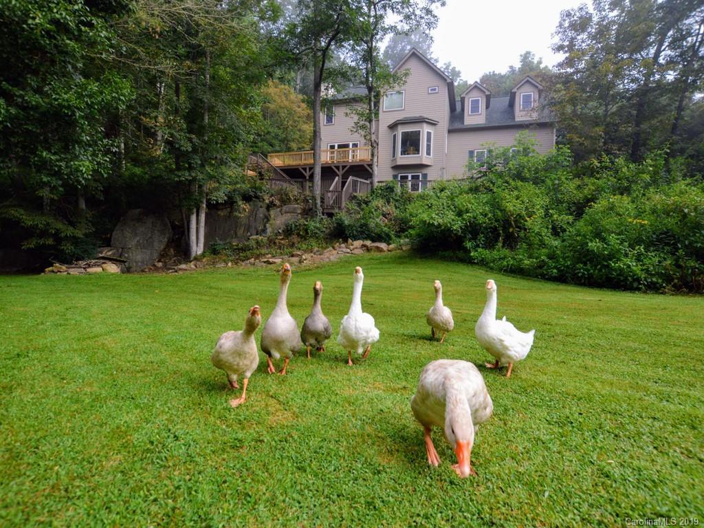 398 New Stock Rd., Asheville, NC 28804