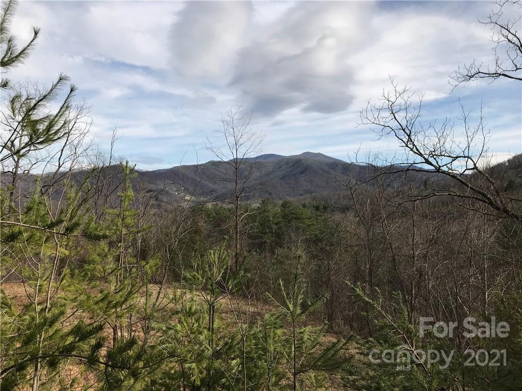 0000 Spring Cove Rd., Waynesville, NC 28786