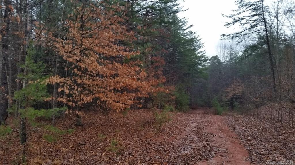 Nugget Ln., Morganton, NC 28655