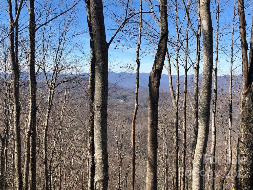 223 Flying Dutchman Rd., Sylva, NC 28779