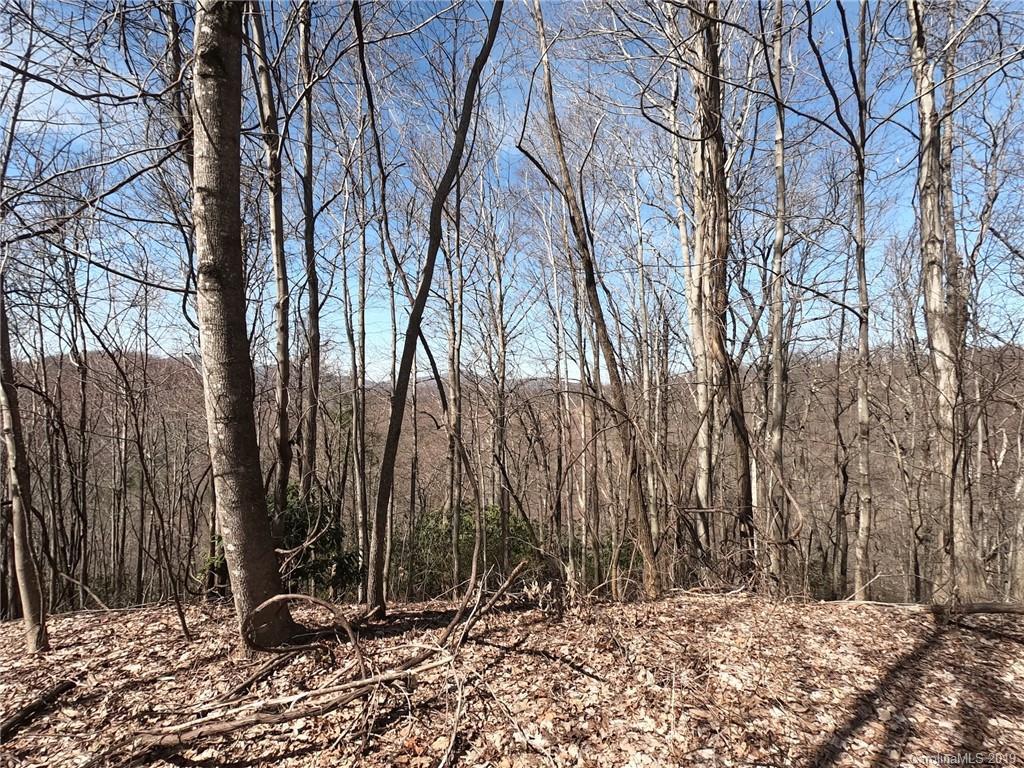 19 +/- Acres Homers Ln., Hendersonville, NC 28792