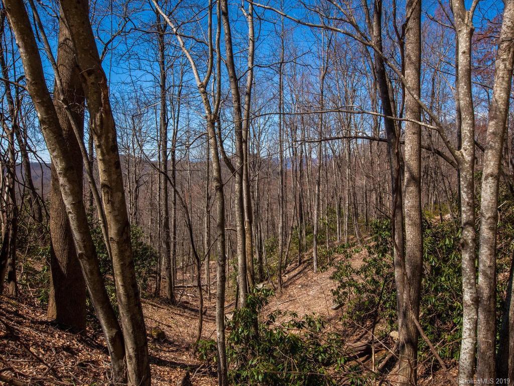 00 Little Creek Rd. #14, Hendersonville, NC 28792