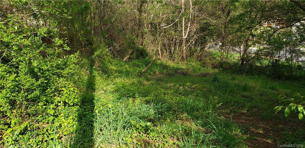 999 Ridge St., Asheville, NC 28801