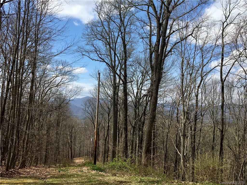 TBD Smokey Ridge Loop, Waynesville, NC 28786
