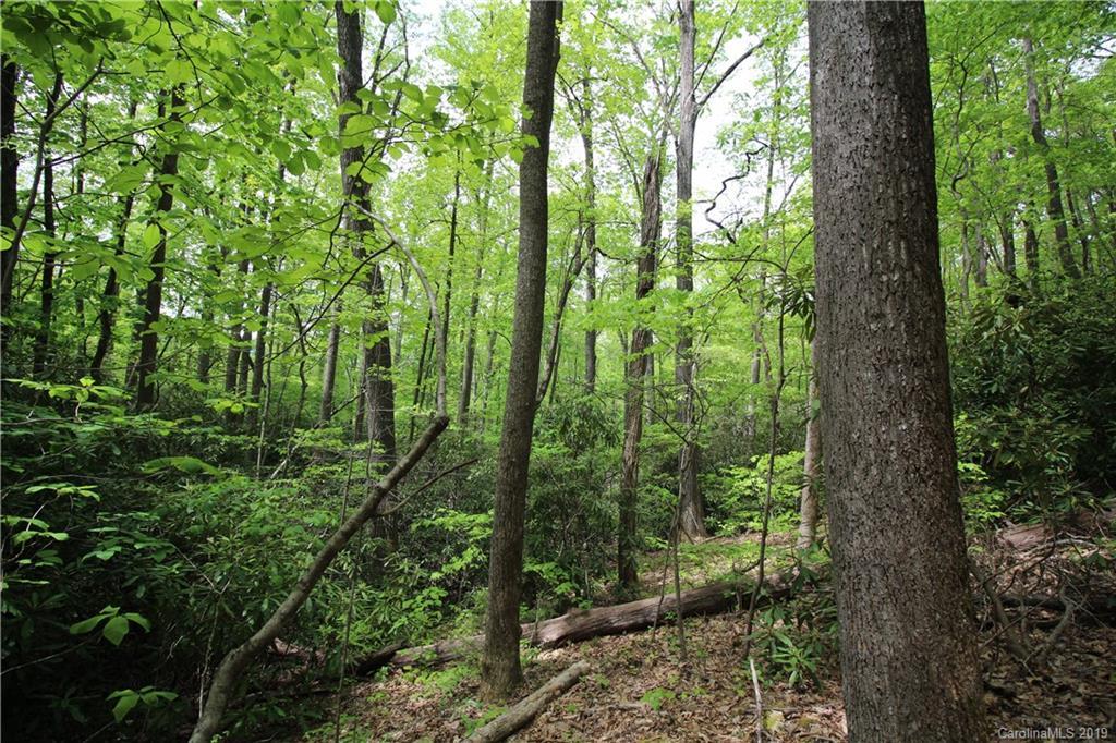 000 Lytle Cove Rd., Black Mountain, NC 28778