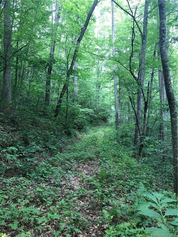 Deep Creek Cemetery Rd., Bryson City, NC 28713