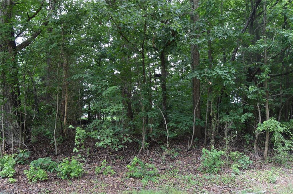 43 W Meadowview Dr., Statesville, NC 28677