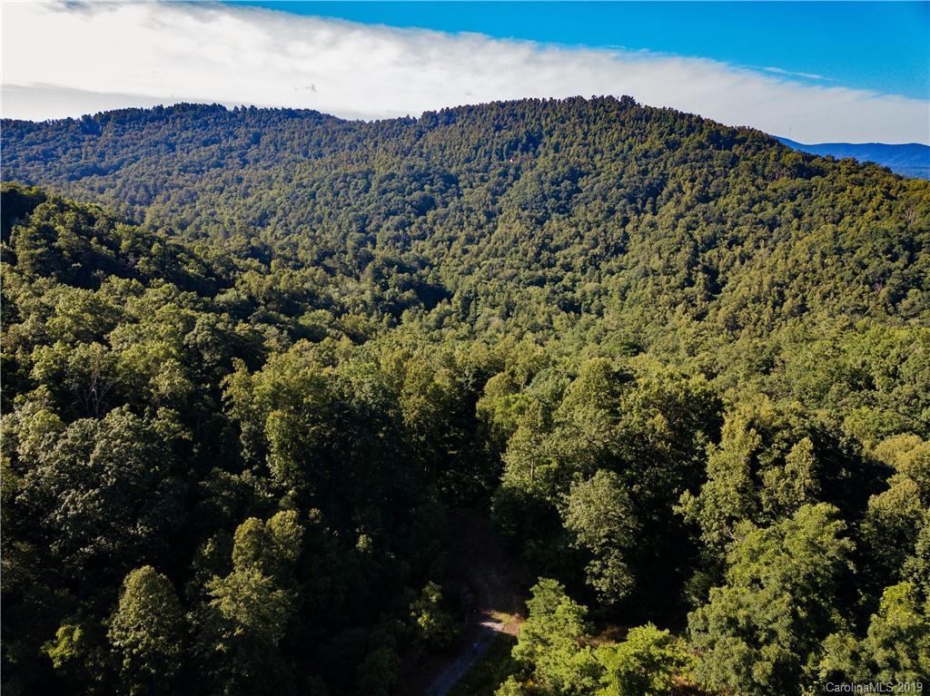 246 Ralphs Rock Ridge Rd., Hendersonville, NC 28739