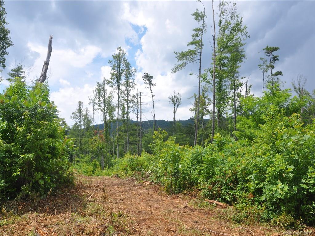N Clear Creek Rd., Hendersonville, NC 28792