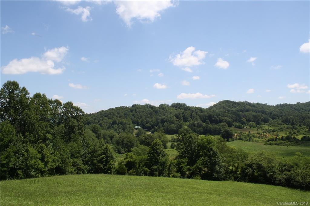 00 Pleasant Grove Church Rd., Etowah, NC 28729