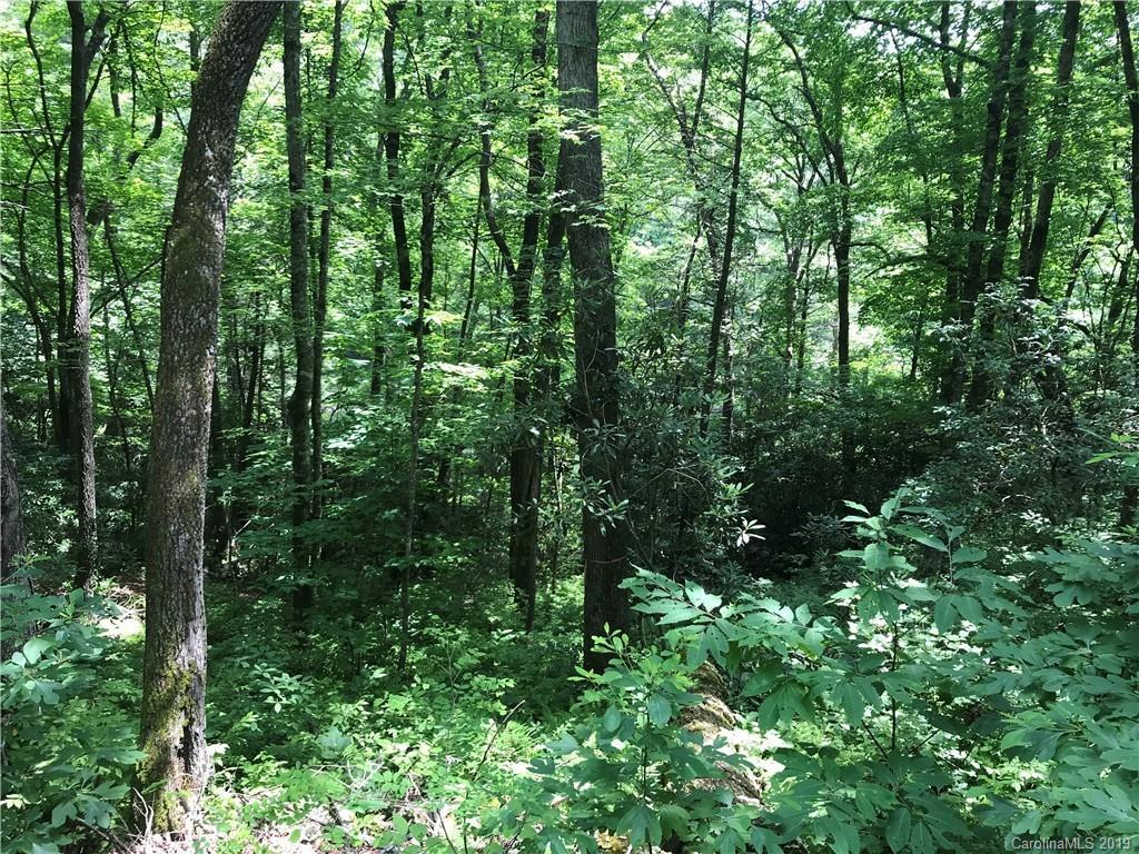 TBD Indian Lake Rd. #7, Lake Toxaway, NC 28747