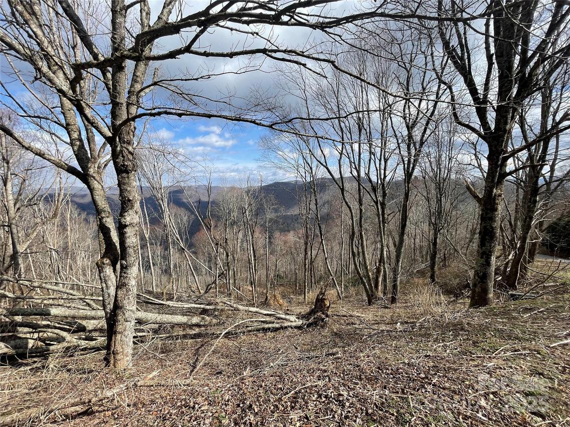 Lot #39 Ridge Top Cir., Clyde, NC 28721