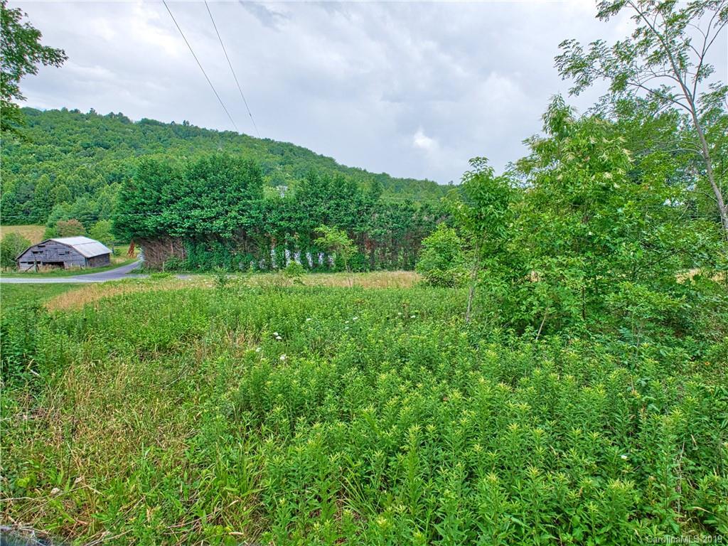 99999 Bald Mountain Church Rd., Black Mountain, NC 28711