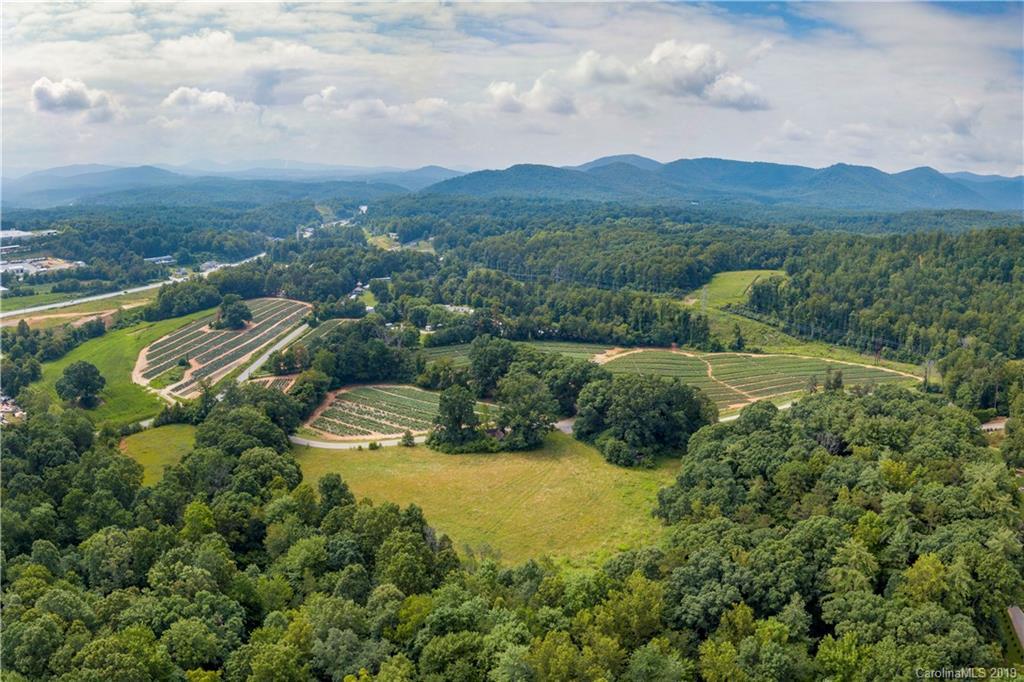 79 Morris Rd., Asheville, NC 28806