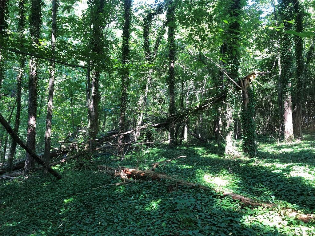 1000 Old Leicester Hwy., Asheville, NC 28806