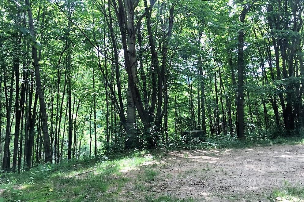 233 Down The Hill Rd., Sylva, NC 28779