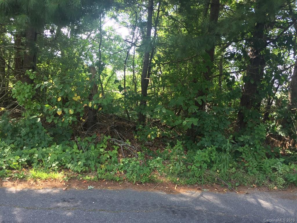 Lot 13 Booker St. #13, Asheville, NC 28803