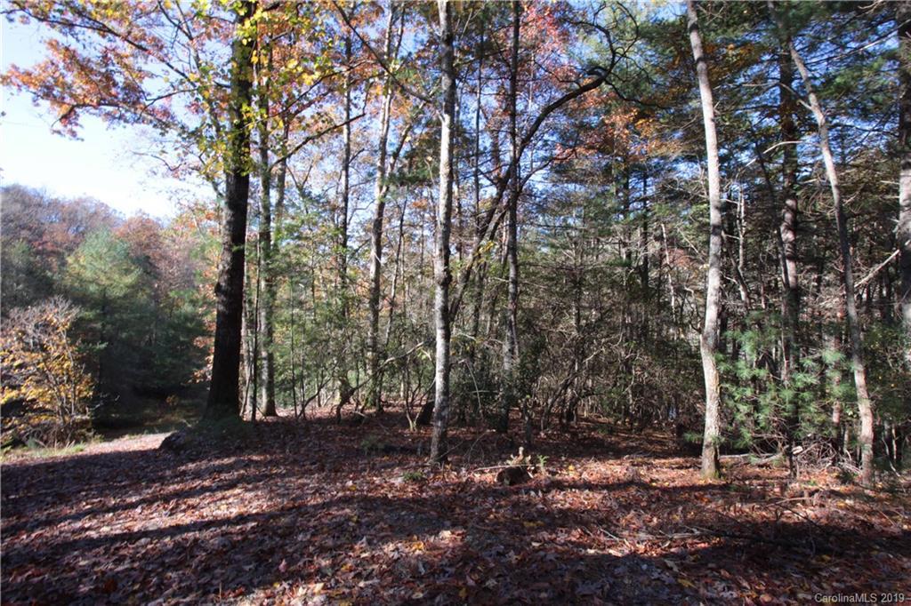 Lot 3 Whitaker Cove Rd. #3, Mills River, NC 28759