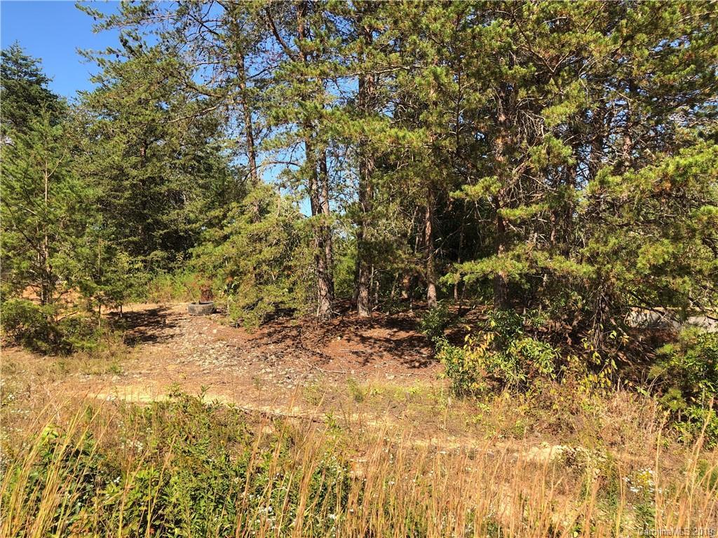 105 Dundee Ct., Maiden, NC 28650