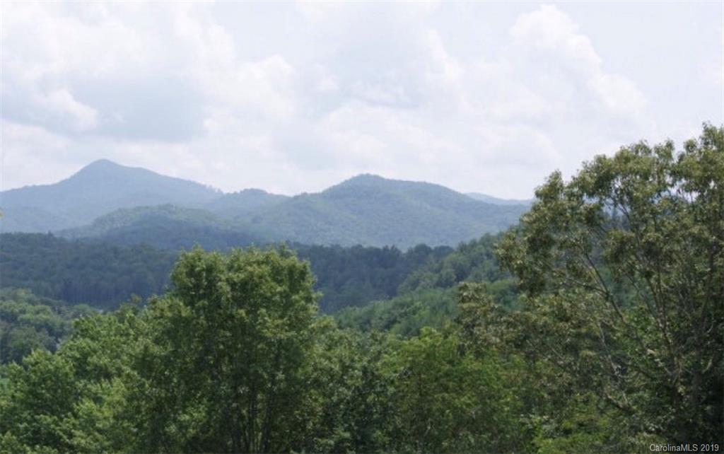 00 Grant Chapman Rd., Webster, NC 28788