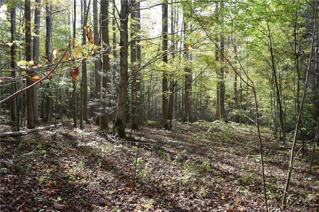 00 Poplar Creek Rd., Bakersville, NC 28705