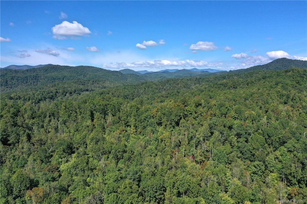 238 +/- Acres Old Fort Rd., Black Mountain, NC 28711