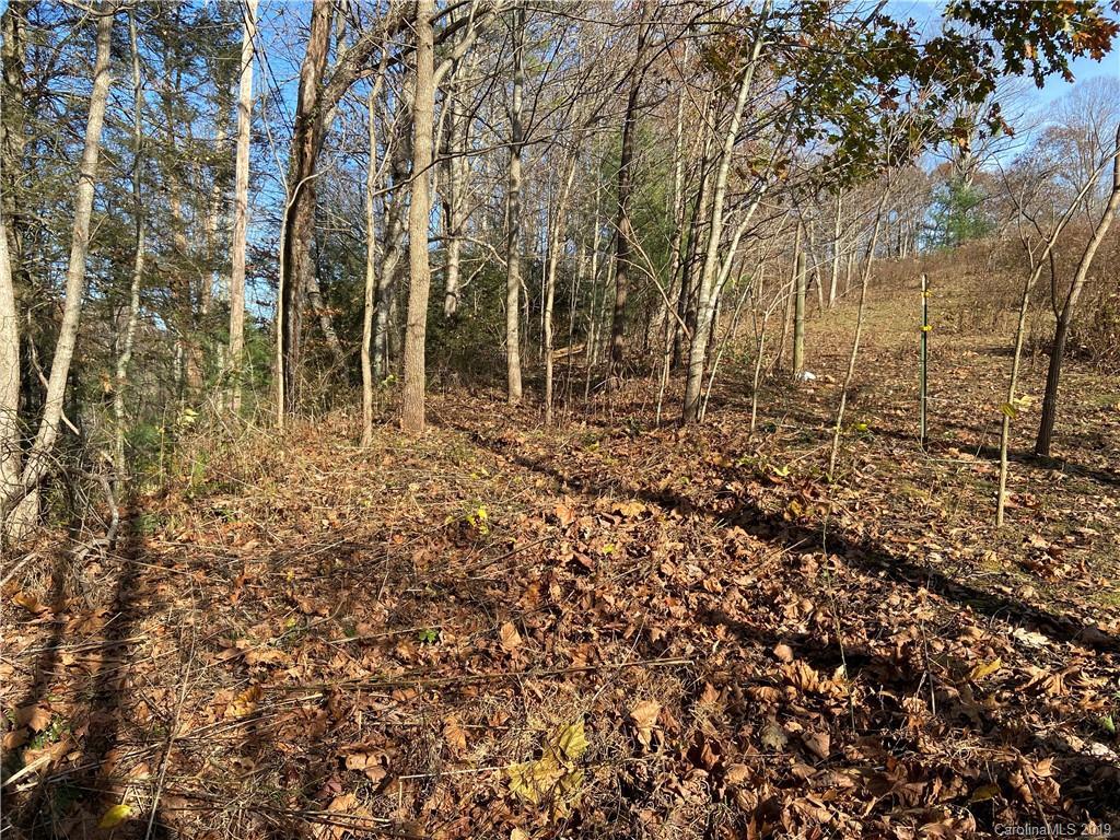 9999 White Oak Rd., Waynesville, NC 28785