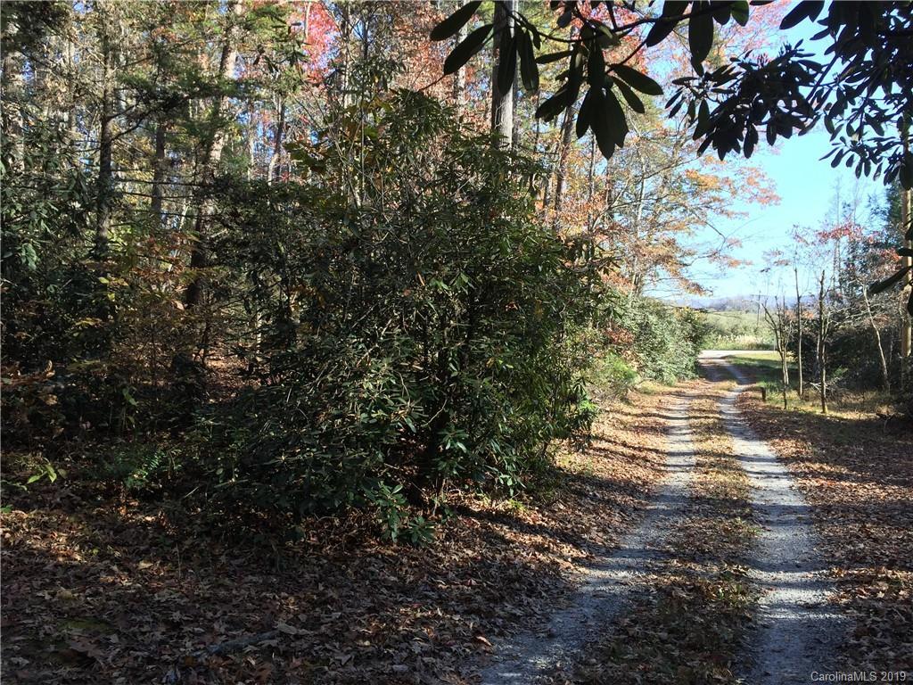 00 Frog And Fern Rd., Hendersonville, NC 28792