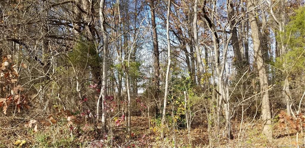 13 Blackwood Rd., Denver, NC 28037