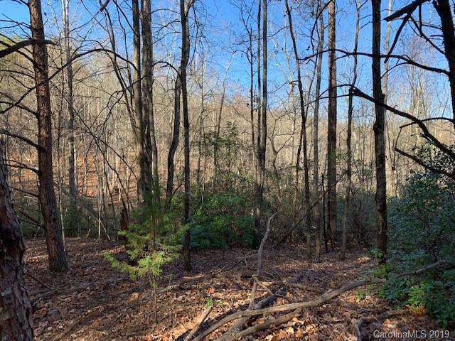 0000 Hilry Ann Dr., Lake Lure, NC 28746