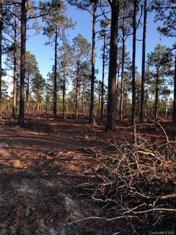 000 Boyd Rd., Hamlet, NC 28345