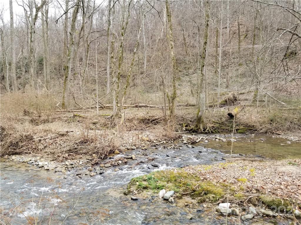 3.07 Acres OFF Rivercove Ln. #5 & 6, Saluda, NC 28773