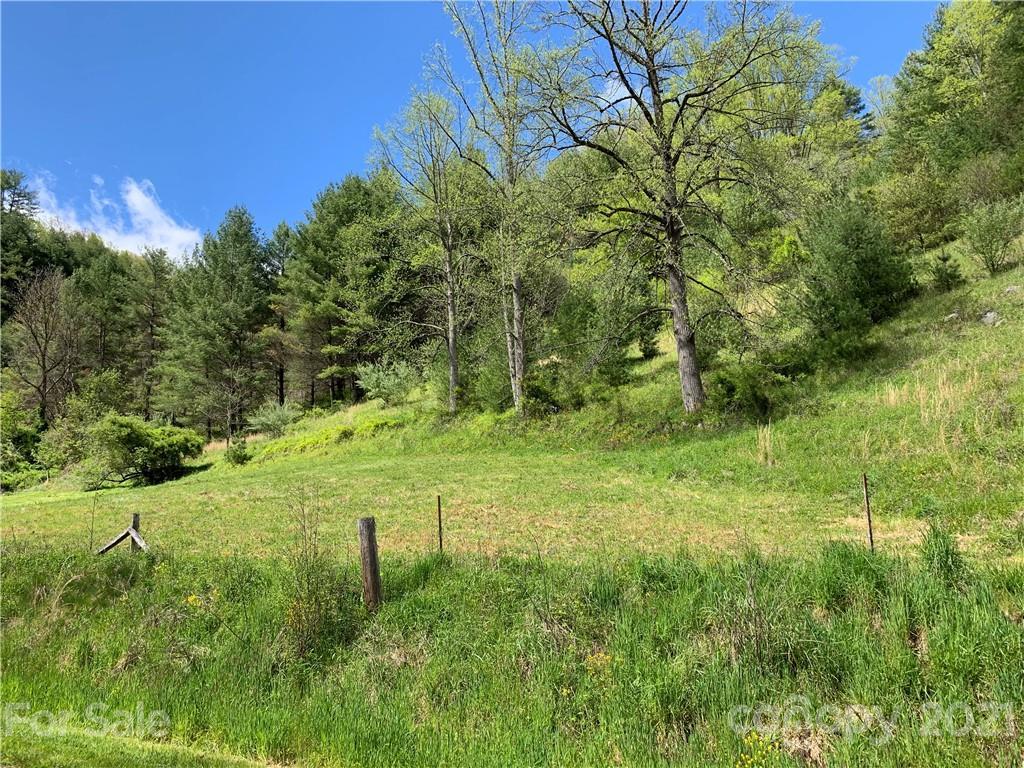 Butter Sop Rd., Burnsville, NC 28714