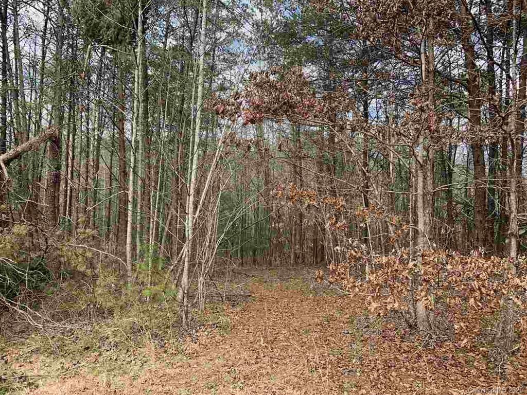 Lot 10 Stone Way Ln., Rutherfordton, NC 28139