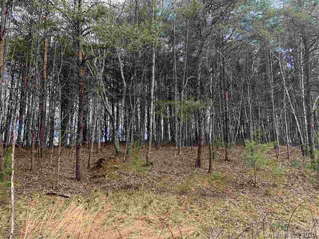 Lot 14 Stone Way Ln., Rutherfordton, NC 28139
