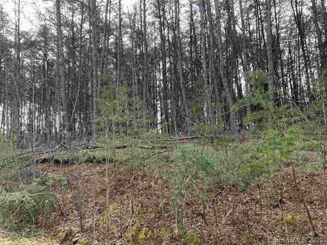 Lot 13 Stone Way Ln., Rutherfordton, NC 28139
