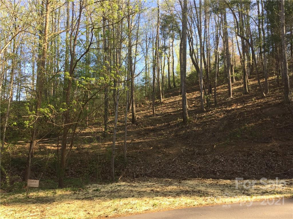 26 Forest Spring Dr. #33A, Woodfin, NC 28804