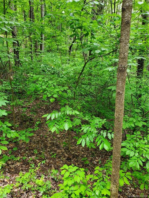 Lots 14-18 Luther Burbank Dr., Lake Lure, NC 28746
