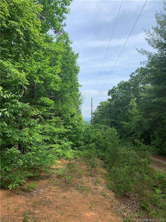 51 High Top Mountain Rd., Leicester, NC 28748