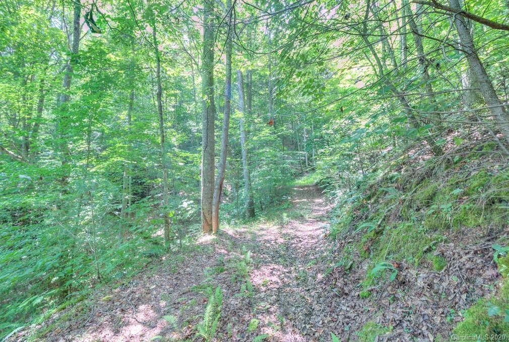 00 Lothlorien Ln. ##5, Marshall, NC 28753