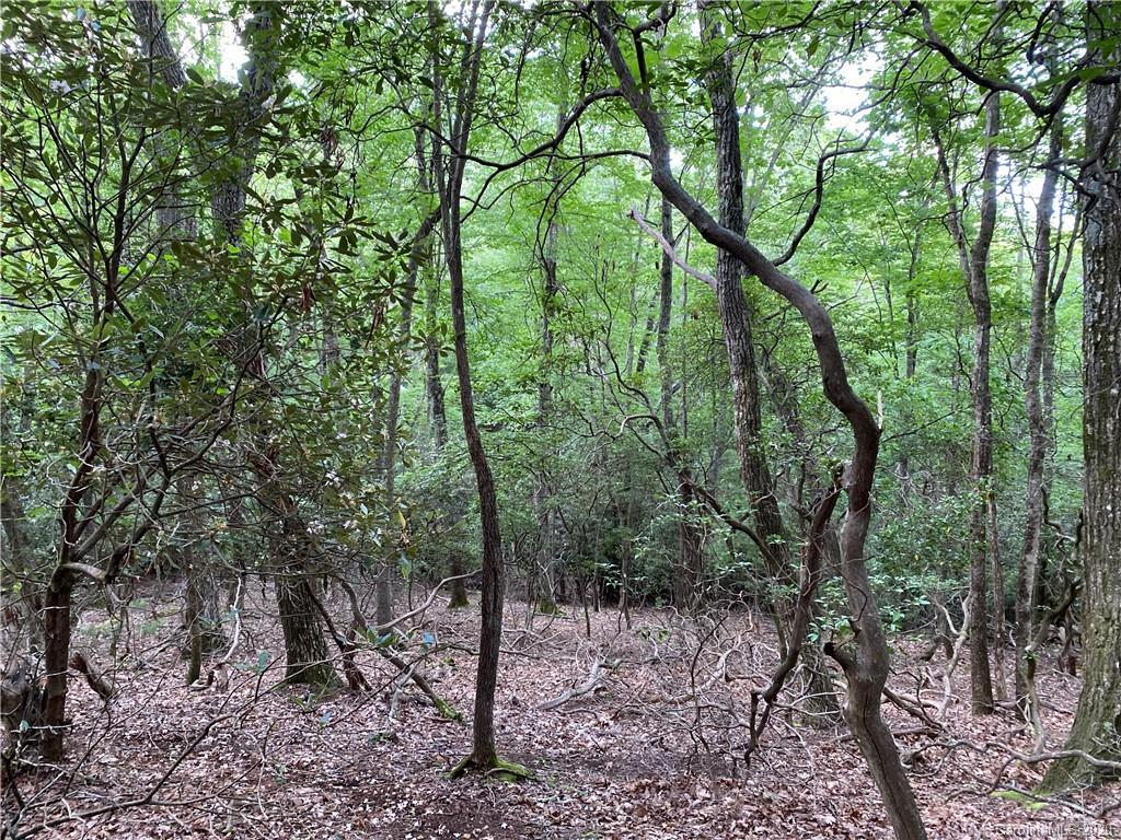 155 Connelly Rd. #2A, Arden, NC 28704