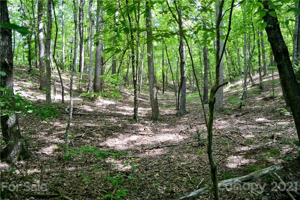 V/L Cottontail Dr., Marion, NC 28752