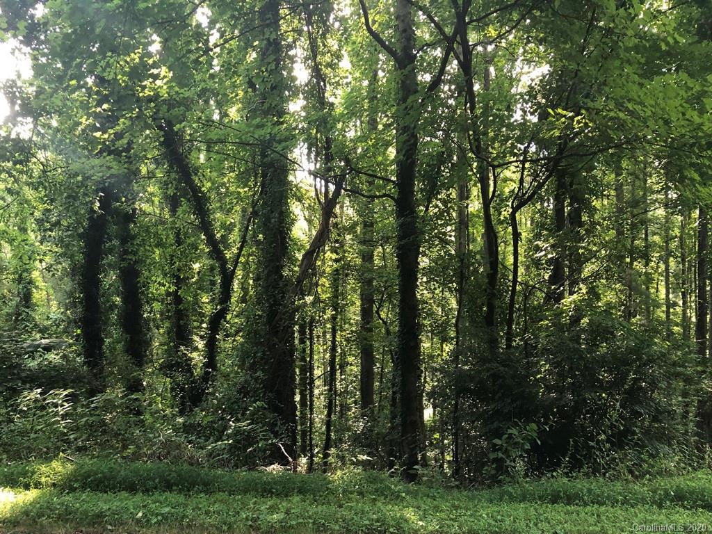 Running Ridge Rd., Asheville, NC 28804